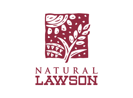 NATURAL LAWSON SOUTH 店舗イメージ